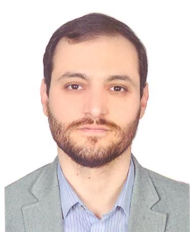 Dr  Meisam Farajollahi